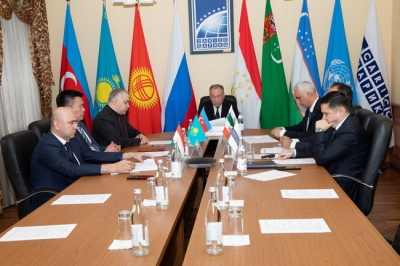 CARICC Online Meeting &ldquo;Global Drug Threat Challenges and Drug Situation Trends in Central Asia&rdquo;